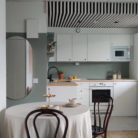 Kodikas Juuri Remontoitu Yksioe Keskustassa Apartment Hämeenlinna