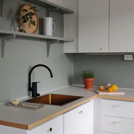 Apartment Kodikas Juuri Remontoitu Yksioe Keskustassa Hämeenlinna