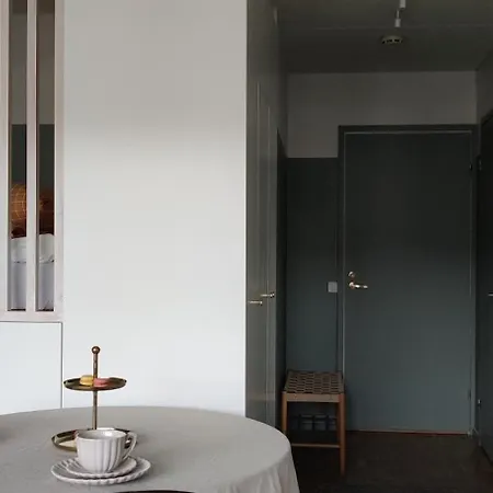 Kodikas Juuri Remontoitu Yksioe Keskustassa *