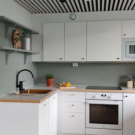 Kodikas Juuri Remontoitu Yksioe Keskustassa