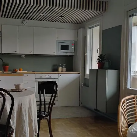 Kodikas Juuri Remontoitu Yksioe Keskustassa Apartment