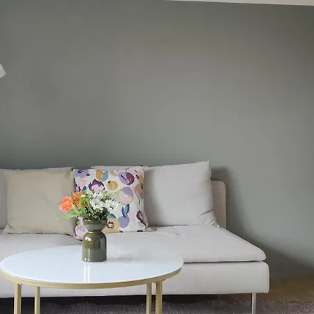 Apartment Kodikas Juuri Remontoitu Yksioe Keskustassa