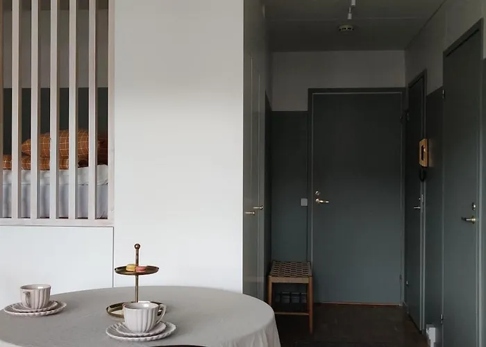 Kodikas Juuri Remontoitu Yksioe Keskustassa *